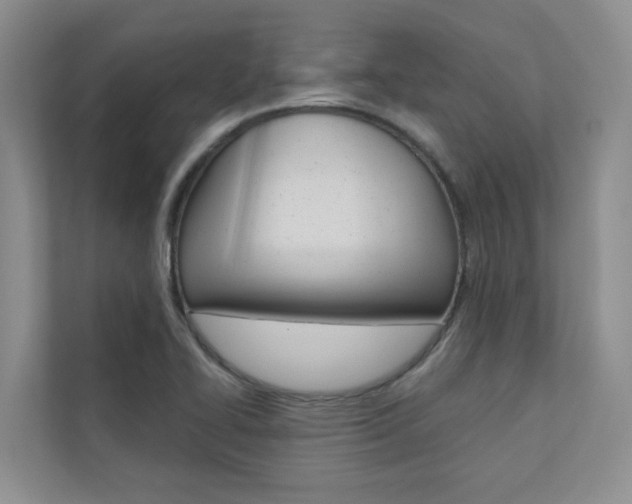 X0000110701414200906121027