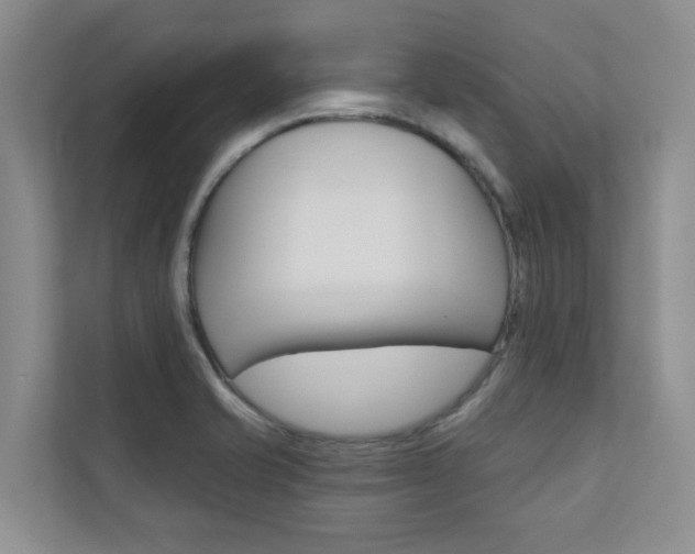 X0000110701421200906121027
