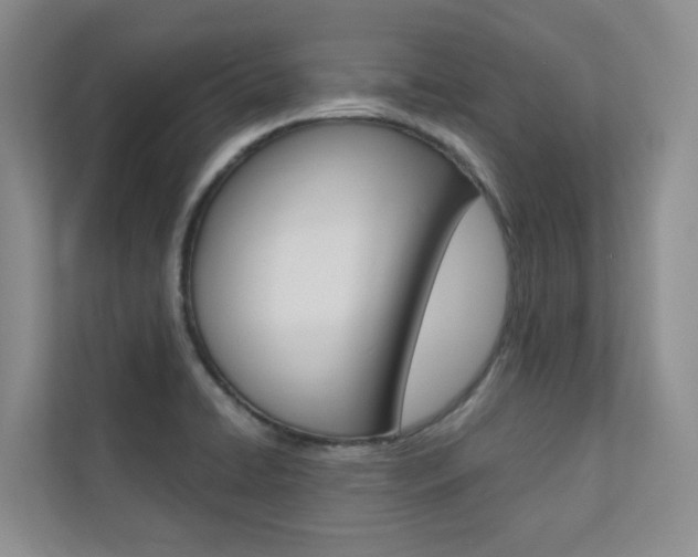 X0000110701422200906121027