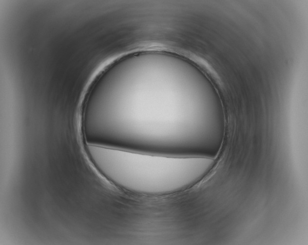 X0000110701424200906121027