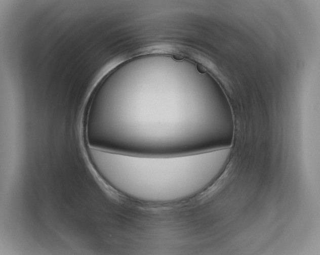 X0000110701426200906121027