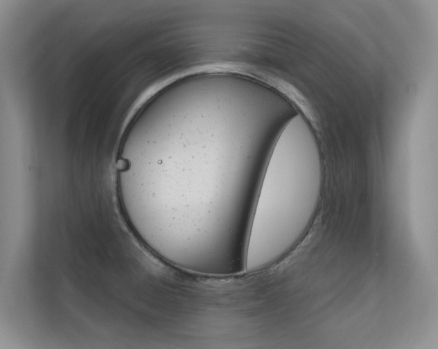 X0000110701428200906121027