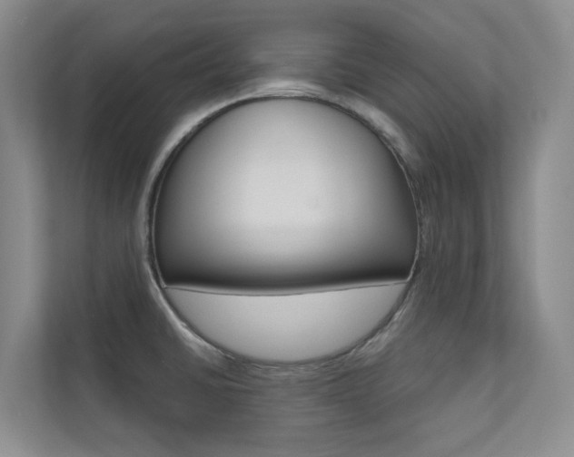X0000110701430200906121027