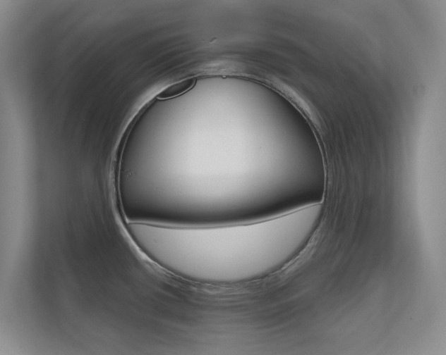 X0000110701434200906121027