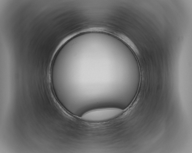 X0000110701436200906121027