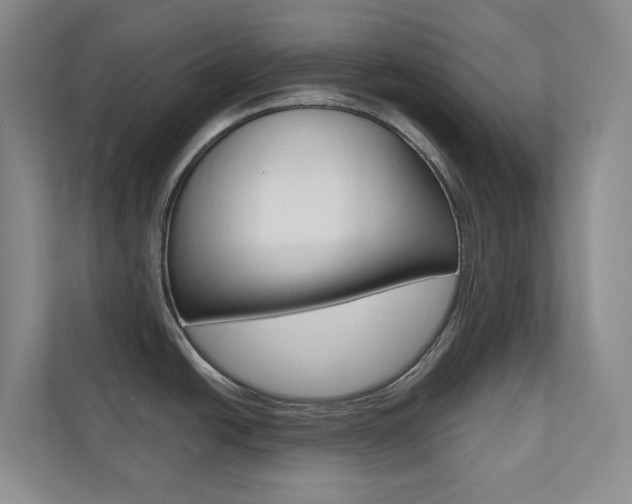X0000110701438200906121027