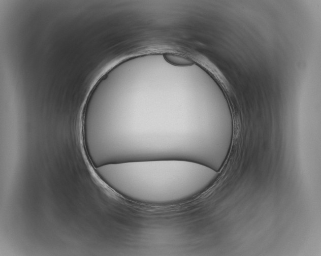 X0000110701439200906121027