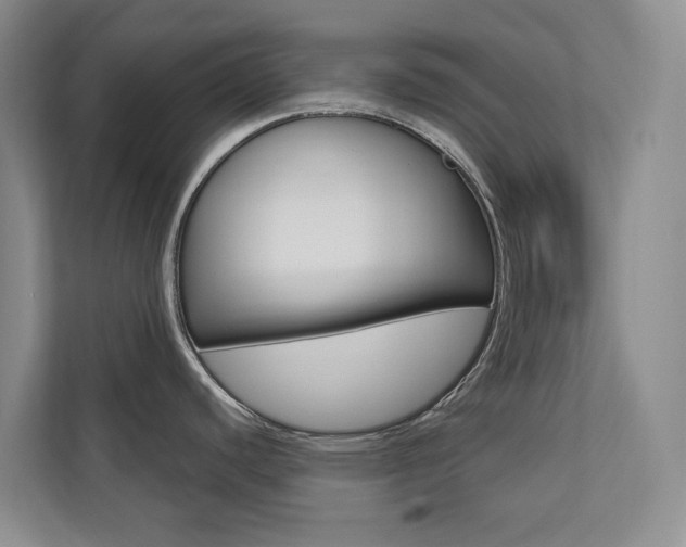X0000110701440200906121027