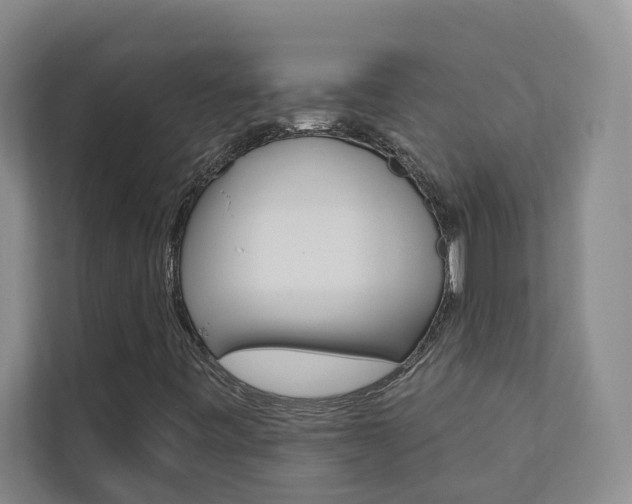 X0000110701443200906121026