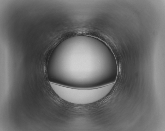 X0000110701444200906121026