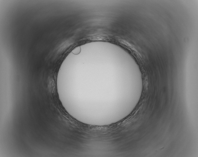 X0000110701446200906121026