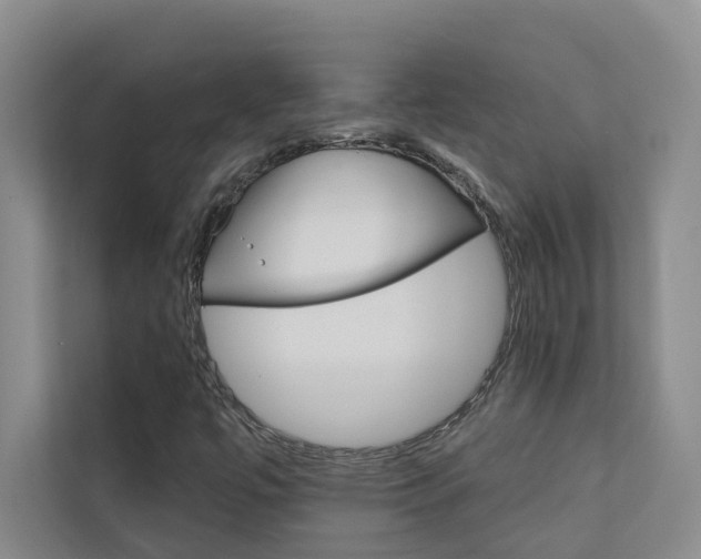 X0000110701447200906121026