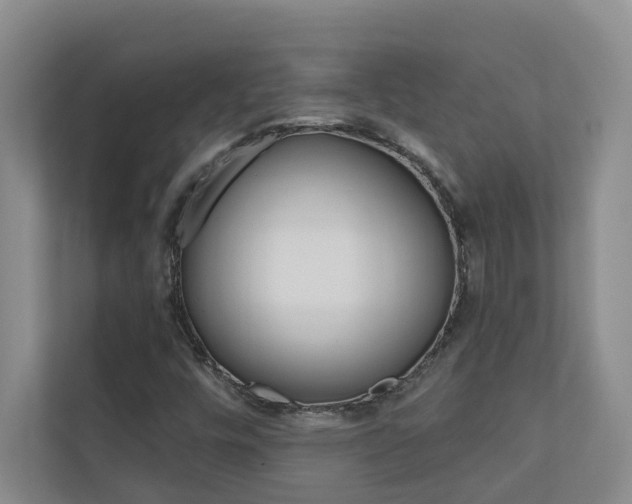 X0000110701448200906121026
