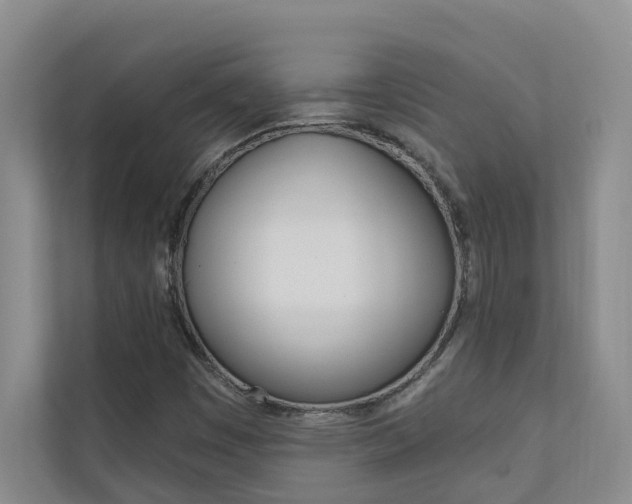 X0000110701449200906121026