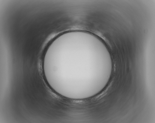 X0000110701454200906121026