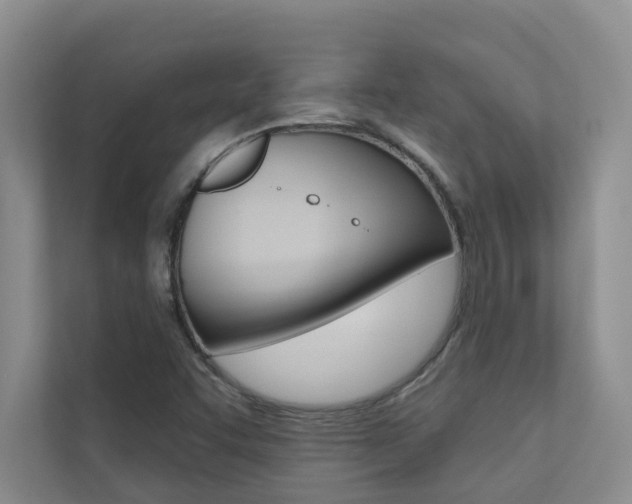X0000110701455200906121026