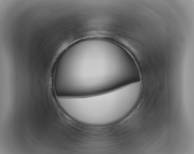 X0000110701459200906121026