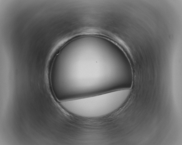 X0000110701464200906121026