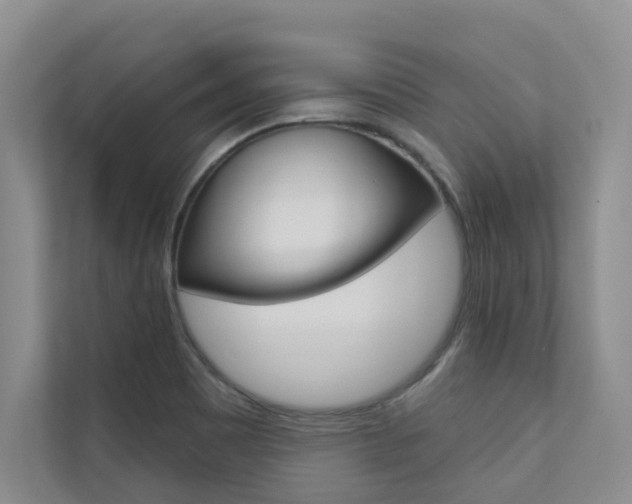X0000110701465200906121026