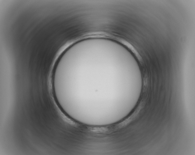 X0000110701466200906121026