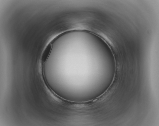 X0000110701468200906121026