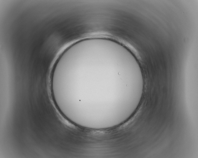 X0000110701470200906121026