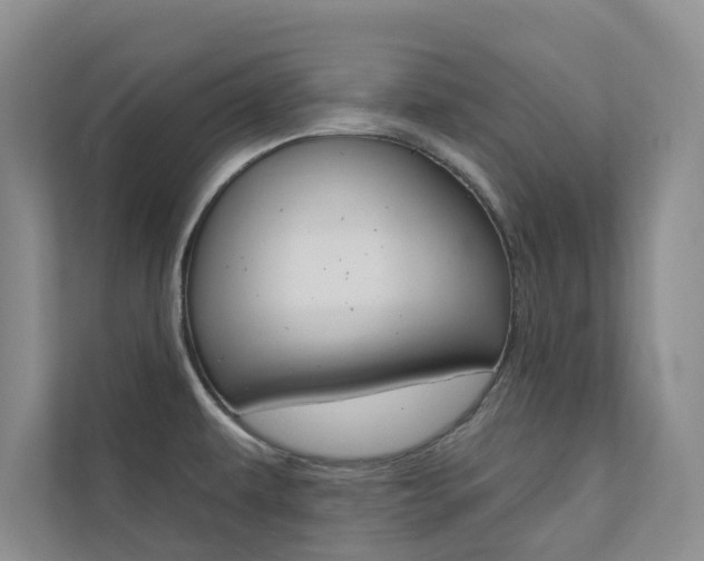 X0000110701479200906121026