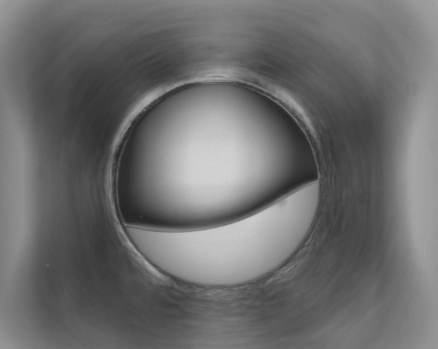 X0000110701480200906121026