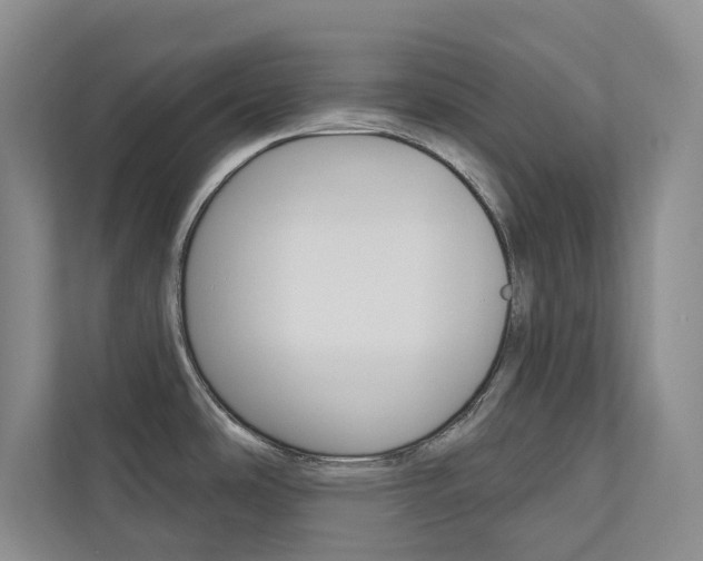 X0000110701486200906121026