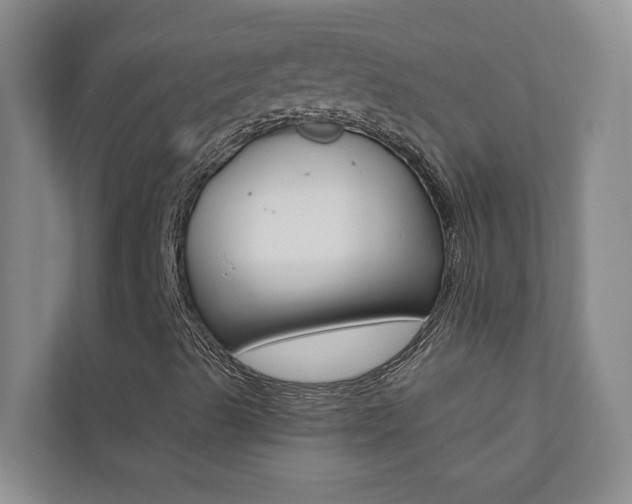 X0000110701489200906121025
