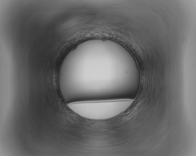 X0000110701490200906121025