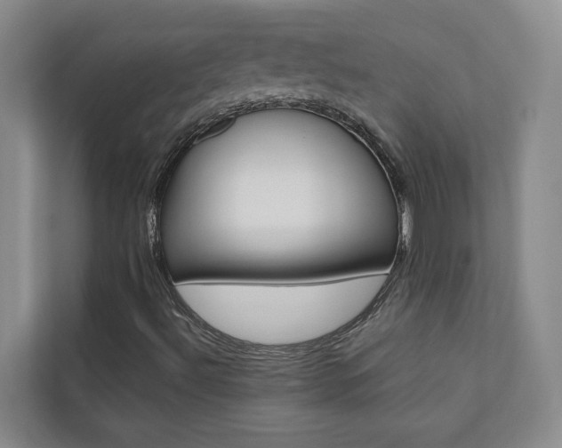 X0000110701492200906121025