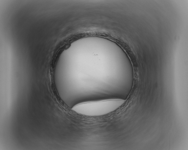 X0000110701493200906121025