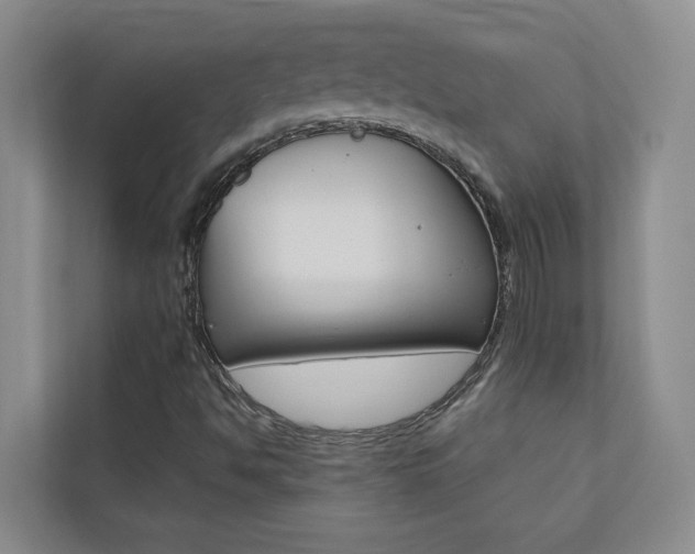 X0000110701494200906121025