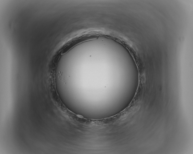 X0000110701496200906121025