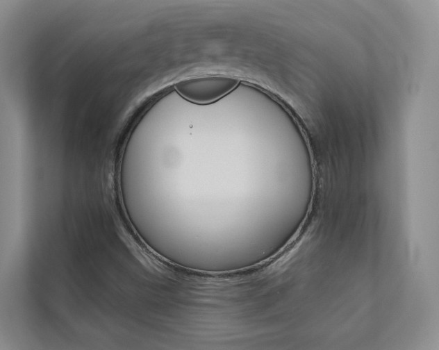 X0000110701499200906121025