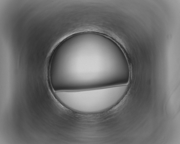 X0000110701500200906121025