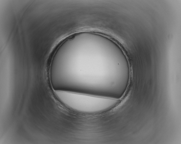 X0000110701501200906121025