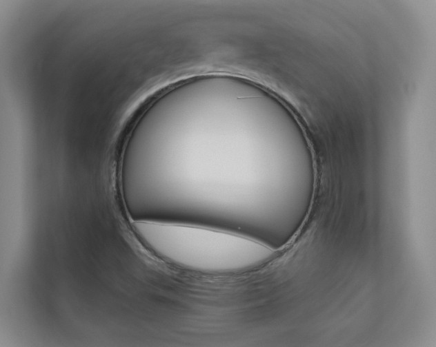 X0000110701503200906121025