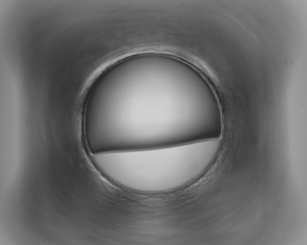 X0000110701504200906121025