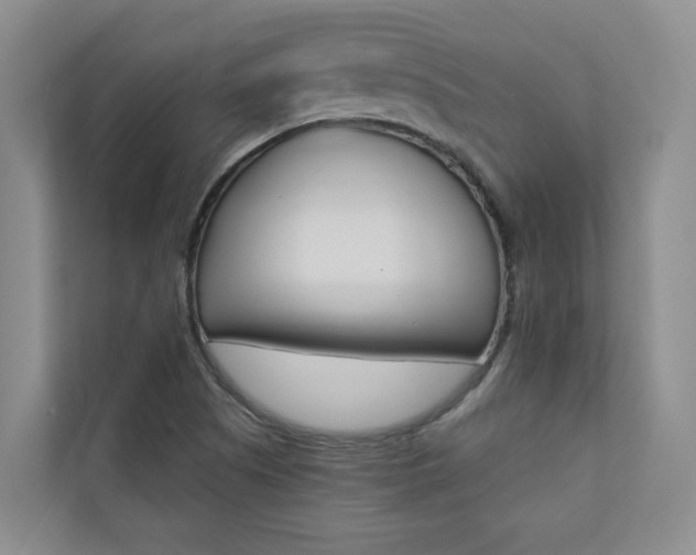 X0000110701505200906121025