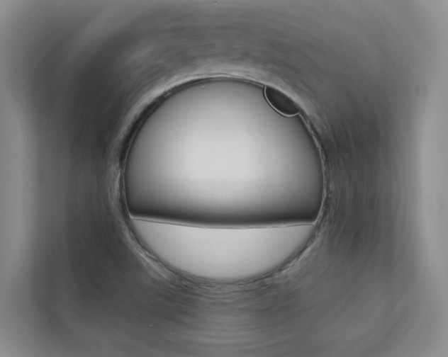 X0000110701507200906121025
