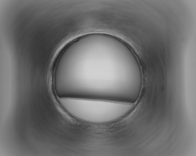 X0000110701511200906121025