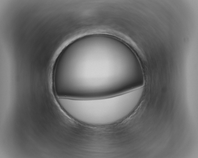 X0000110701512200906121025