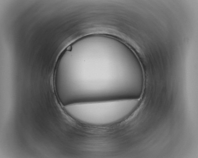 X0000110701513200906121025
