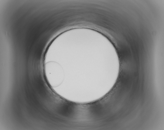 X0000110701514200906121025