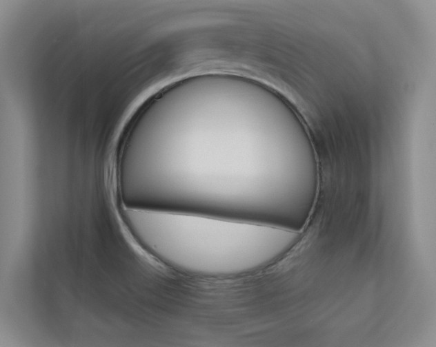 X0000110701515200906121025
