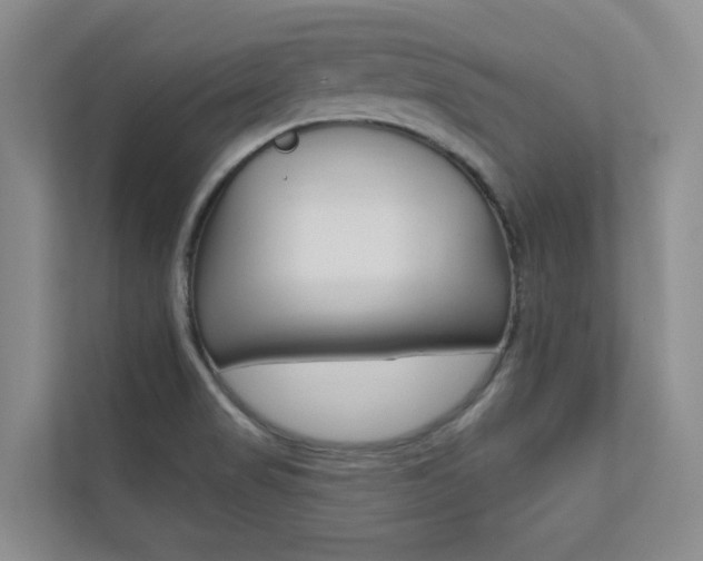 X0000110701517200906121025