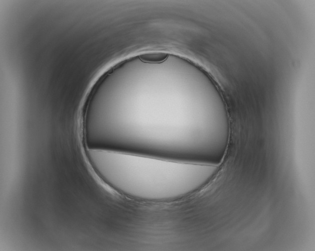 X0000110701519200906121025