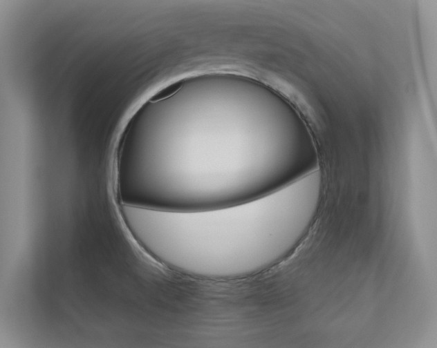 X0000110701520200906121025